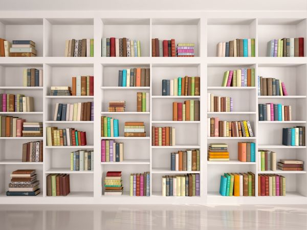 Bookshelf Assembly in Manassas